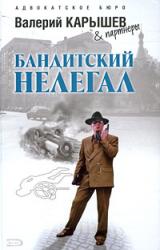 Книга Исполнитель